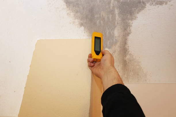 Reliable Winona Lake, IN Mold Removal Solutions