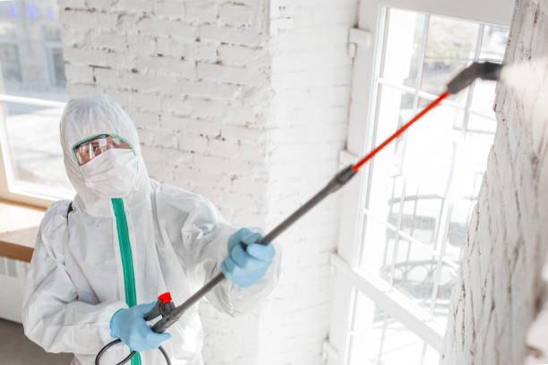 Best Black Mold Removal  in Wona Lake, IN