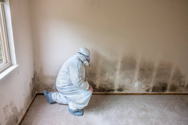 Mold Removal for HVAC Installations in Winona Lake, IN