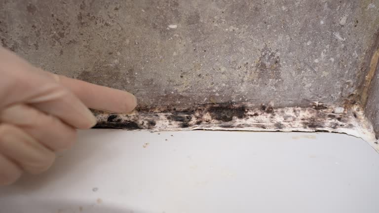 Best Residential Mold Inspection & Testing  in Wona Lake, IN